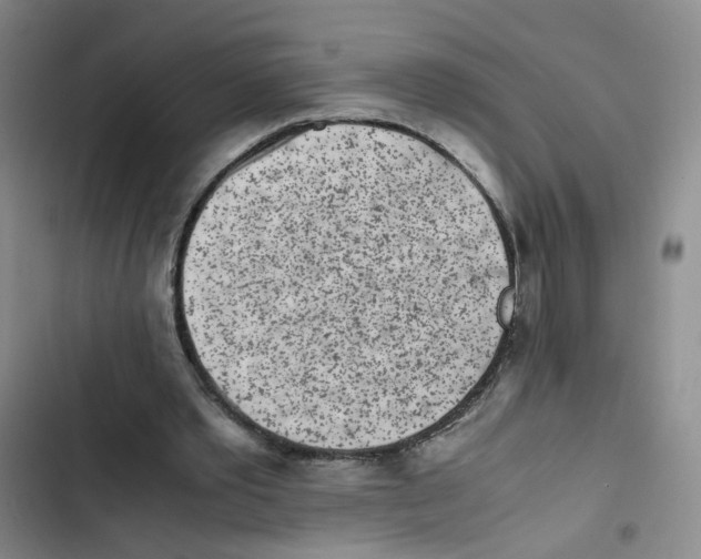 X0000102860389200809151216