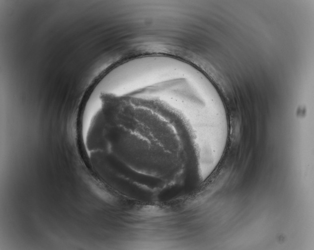 X0000102860390200809151216