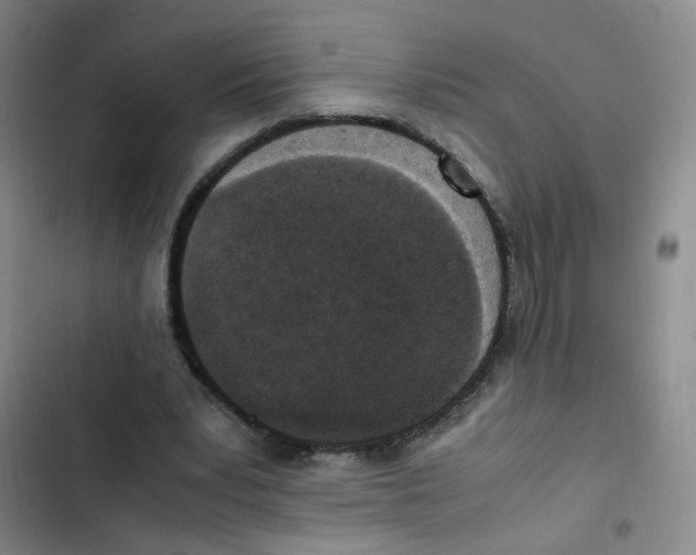 X0000102860391200809151216