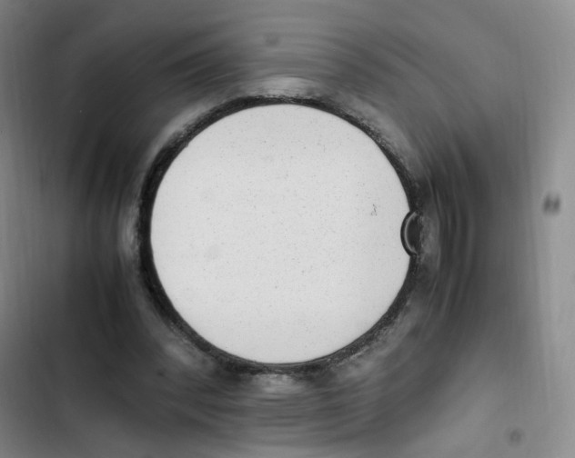 X0000102860392200809151216