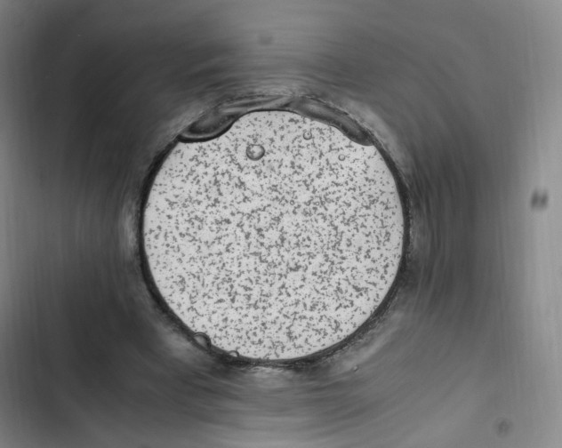 X0000102860393200809151216