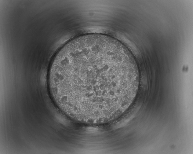 X0000102860394200809151216