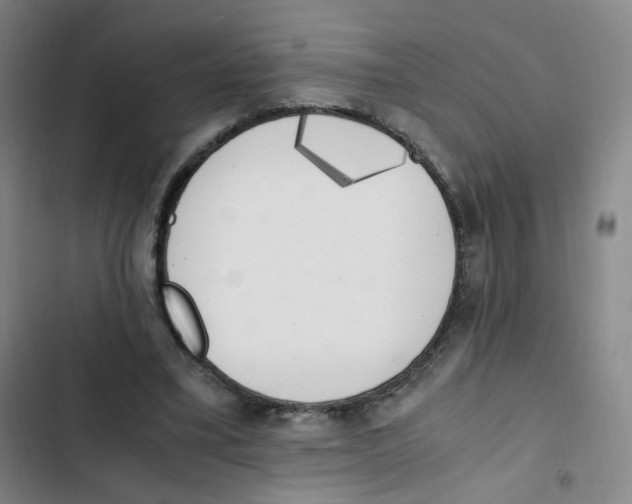 X0000102860395200809151216