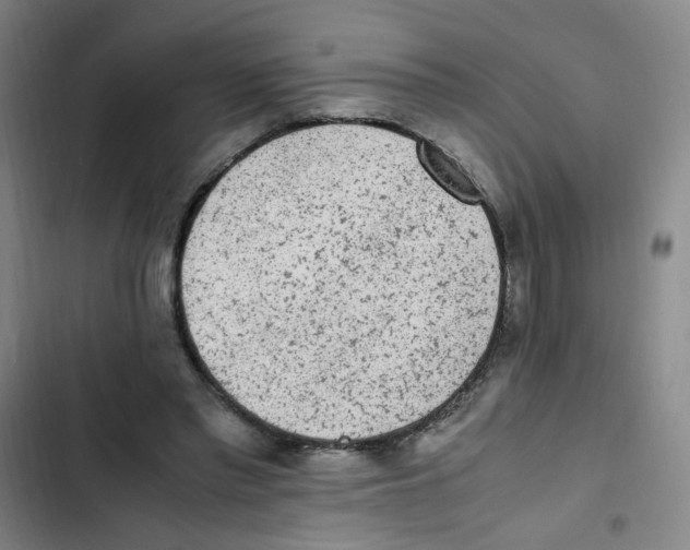 X0000102860397200809151216