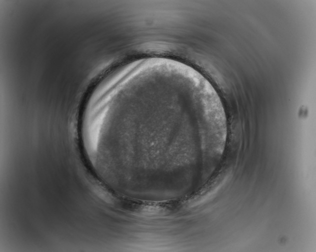 X0000102860399200809151216