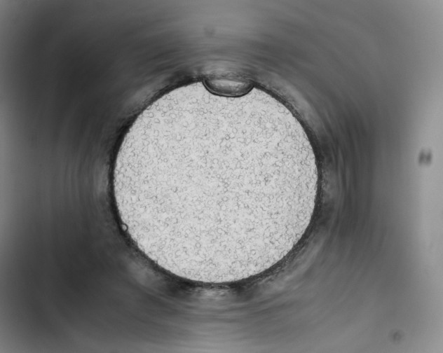 X0000102860401200809151216