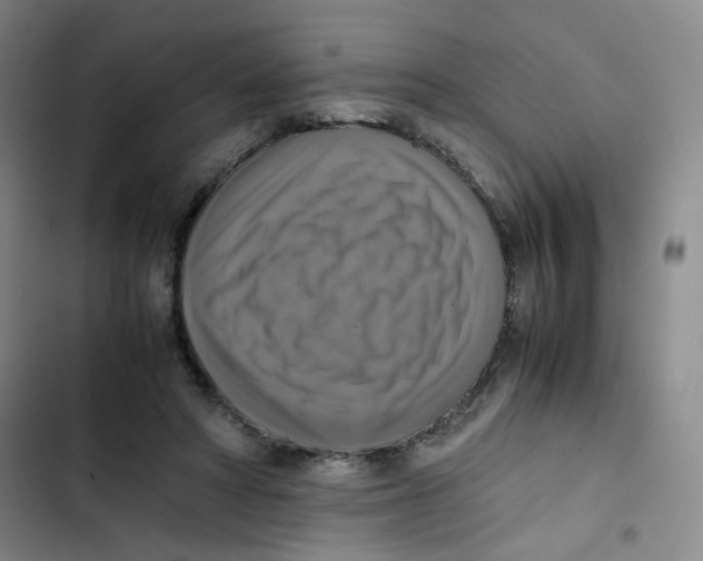 X0000102860402200809151216