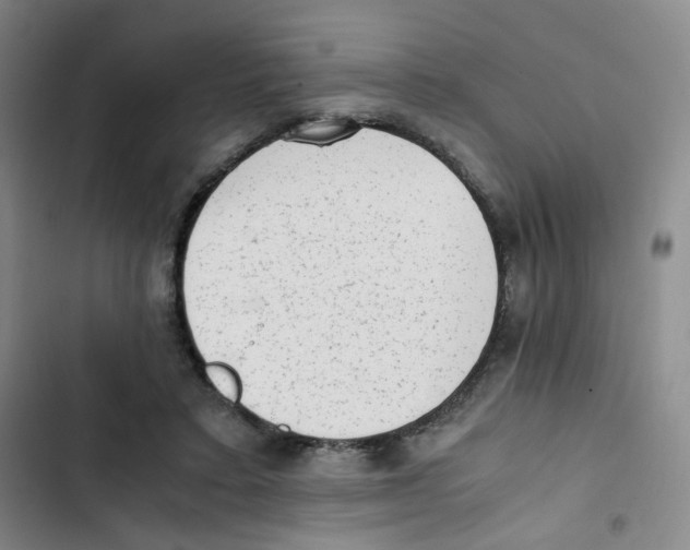 X0000102860403200809151216