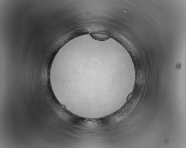 X0000102860405200809151216