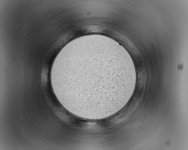 X0000102860406200809151216