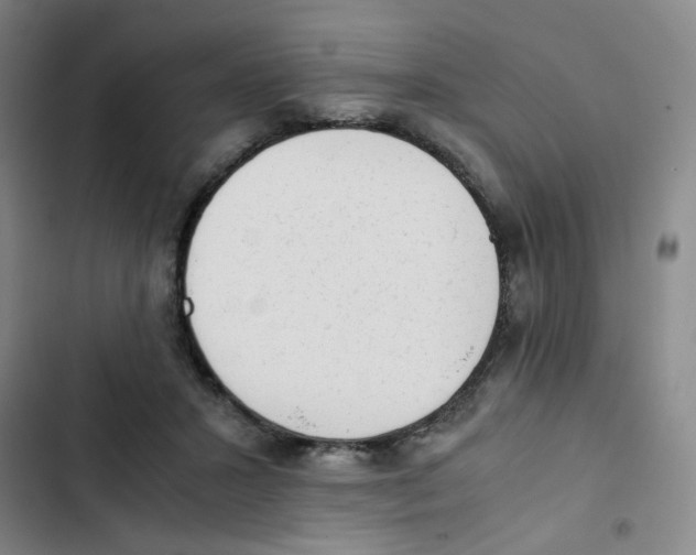 X0000102860407200809151216