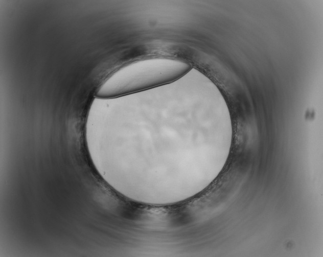 X0000102860409200809151216