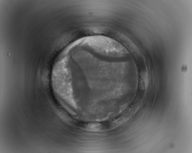 X0000102860410200809151216