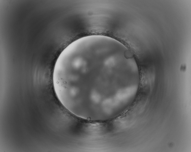 X0000102860411200809151216