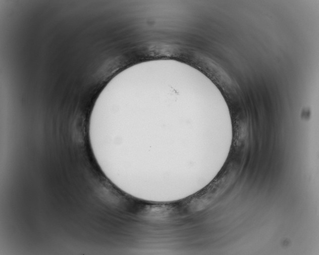 X0000102860414200809151216