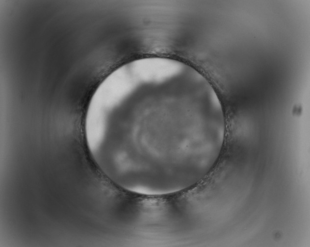 X0000102860415200809151216