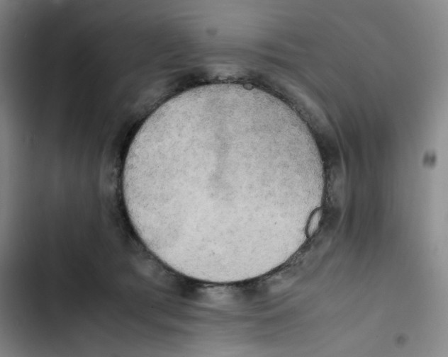 X0000102860417200809151216