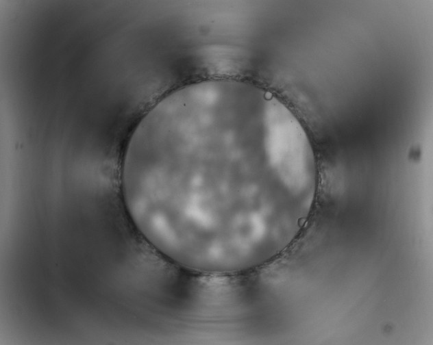 X0000102860419200809151216