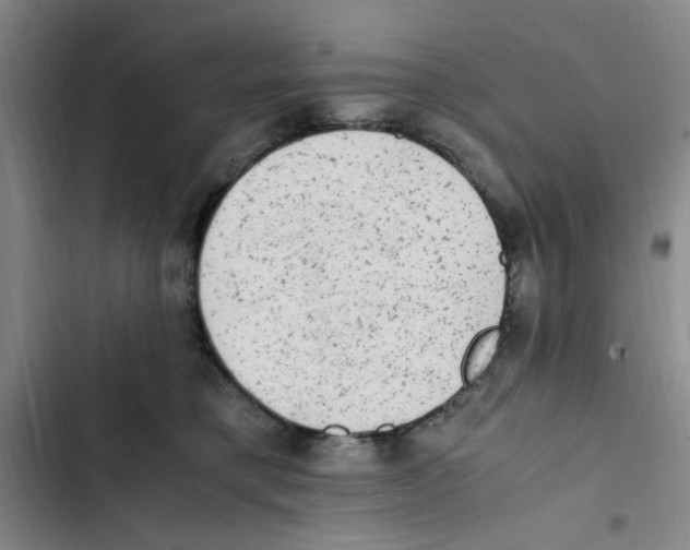 X0000102860421200809151216