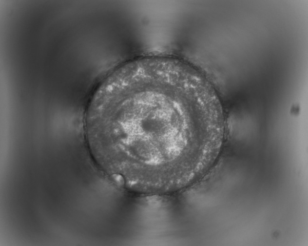 X0000102860423200809151216