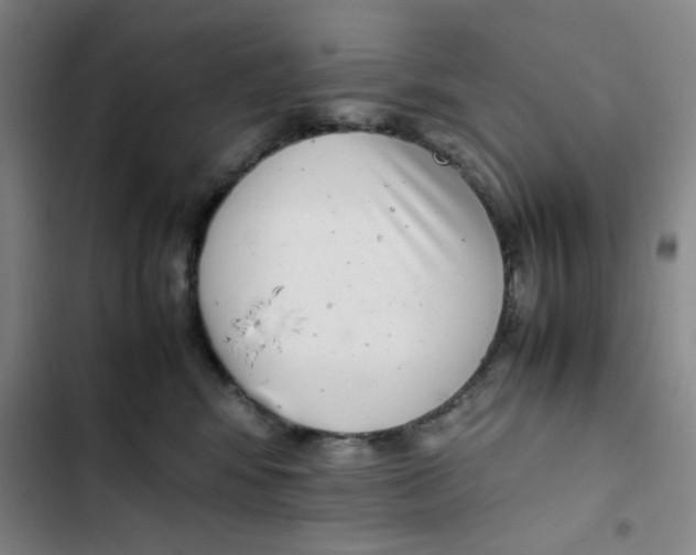 X0000102860424200809151216