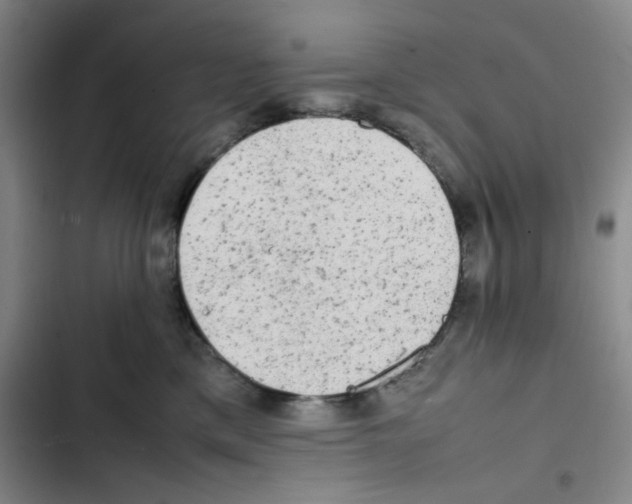 X0000102860425200809151216