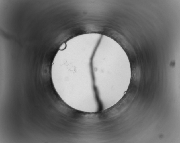 X0000102860426200809151216