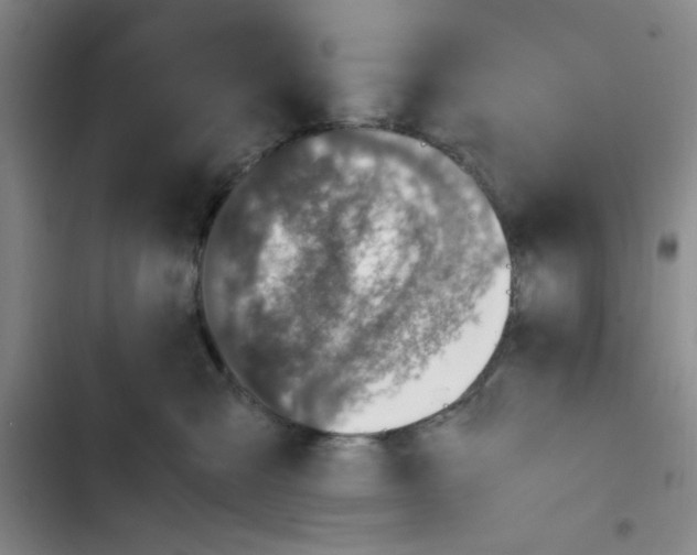 X0000102860427200809151216