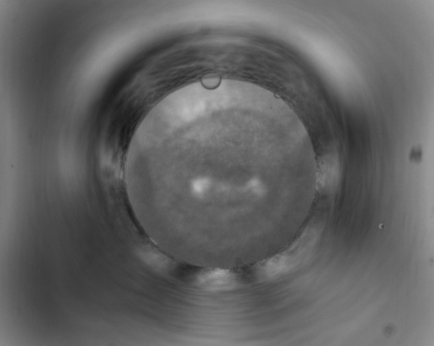 X0000102860431200809151215