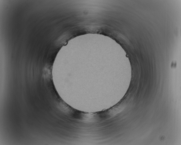 X0000102860432200809151215