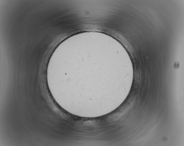 X0000102860433200809151215