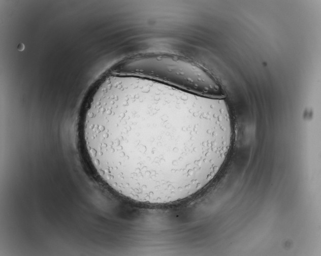 X0000102860436200809151215