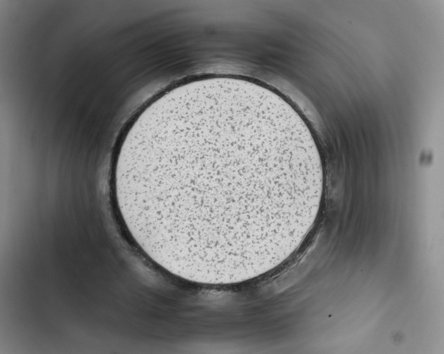 X0000102860437200809151215