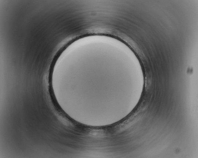 X0000102860438200809151215