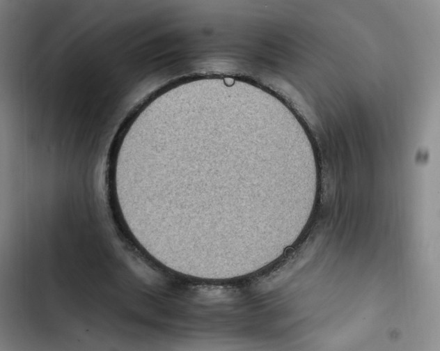 X0000102860439200809151215