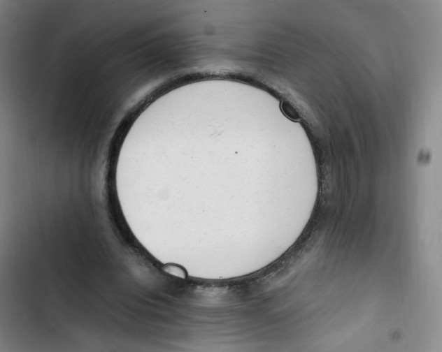 X0000102860440200809151215