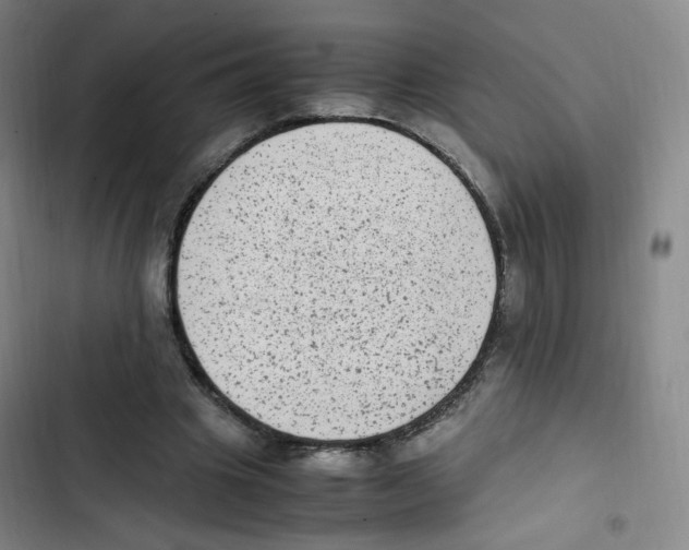 X0000102860441200809151215