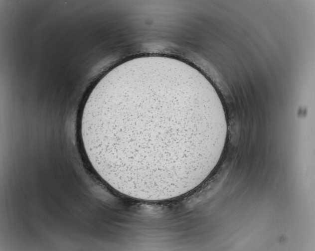 X0000102860442200809151215