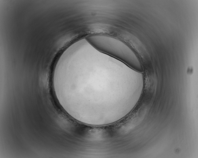 X0000102860444200809151215