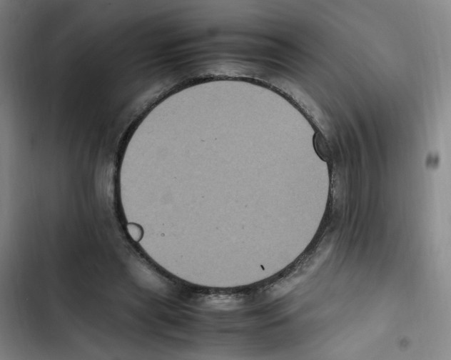 X0000102860445200809151215