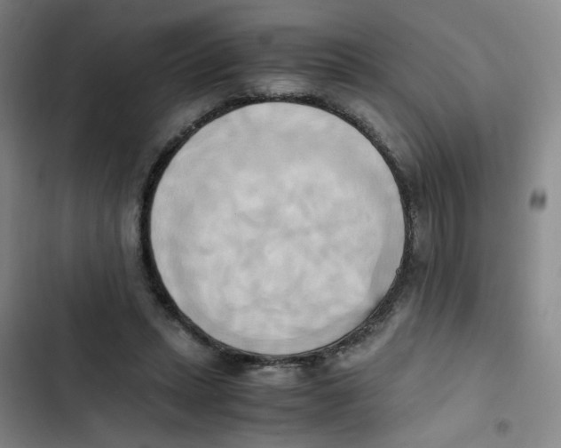 X0000102860447200809151215