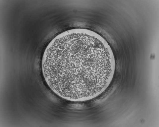 X0000102860449200809151215