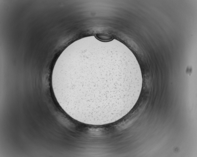 X0000102860450200809151215
