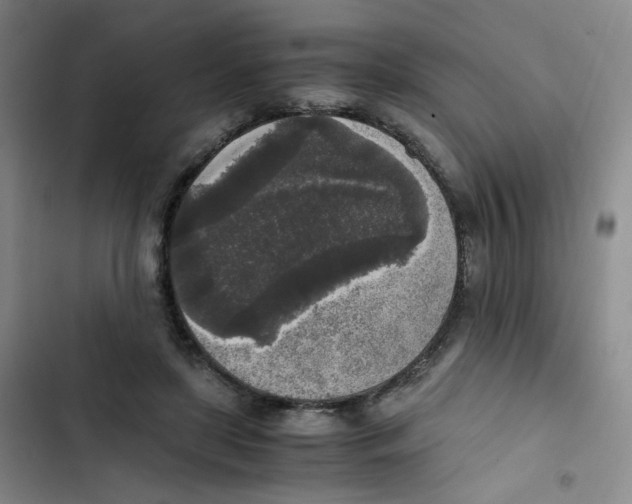 X0000102860451200809151215