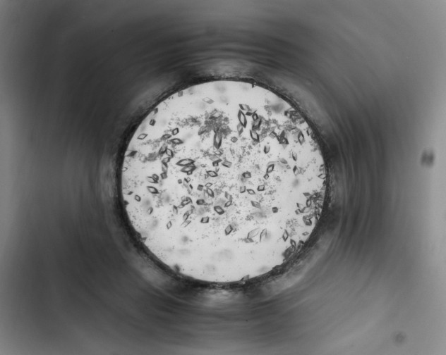 X0000102860453200809151215