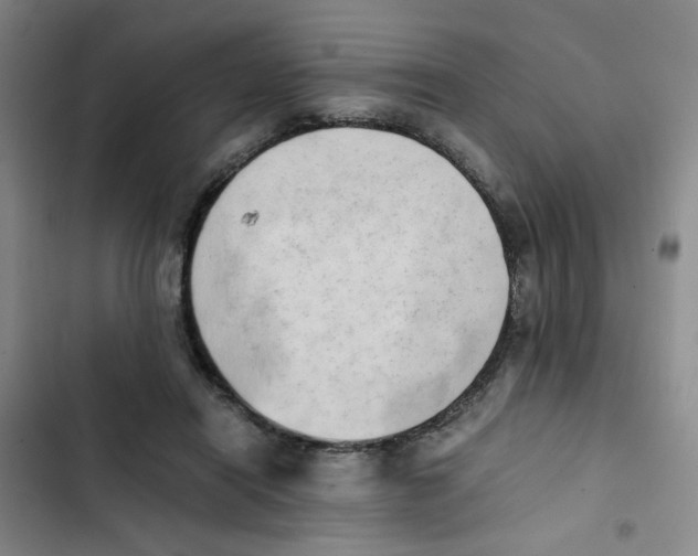 X0000102860454200809151215
