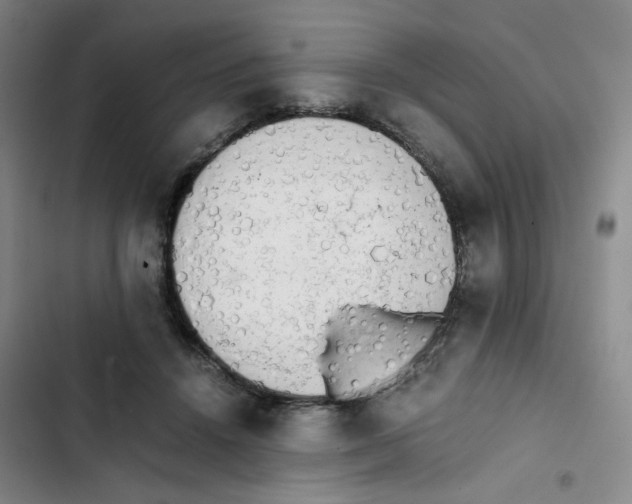 X0000102860456200809151215