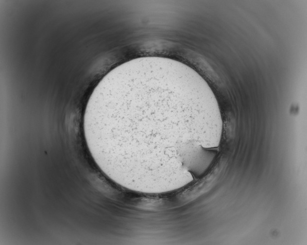 X0000102860458200809151215