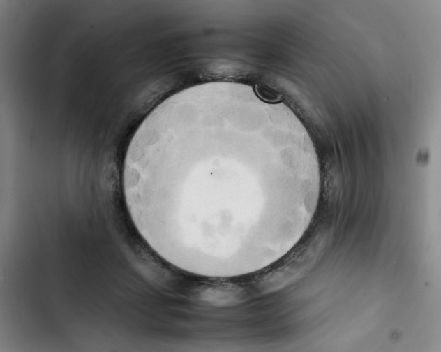 X0000102860459200809151215