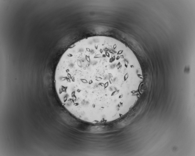 X0000102860461200809151215